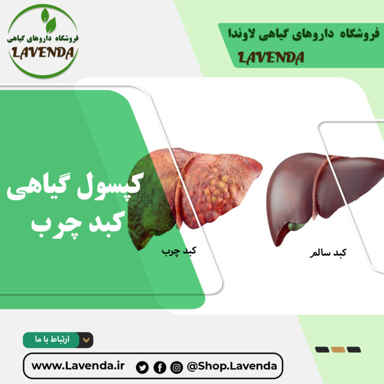 کپسول گیاهی کبد چرب