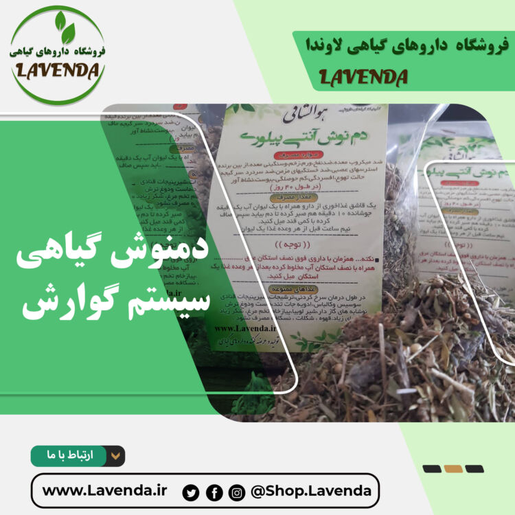 دمنوش گیاهی سیستم گوارش