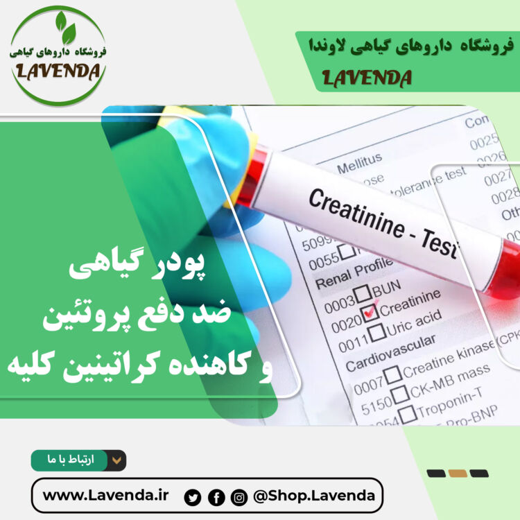 پودر گیاهی ضد دفع پروتئین و کاهنده کراتینین کلیه