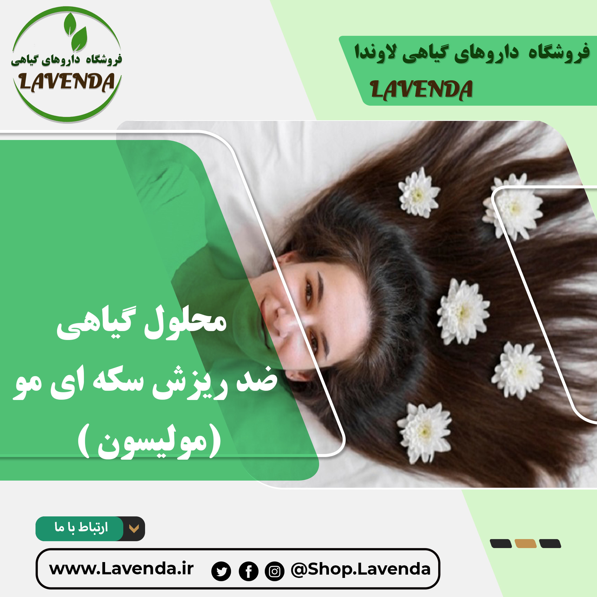 محلول گیاهی ضد ریزش سکه ای مو ( مولیسون ) | فروشگاه لاوندا