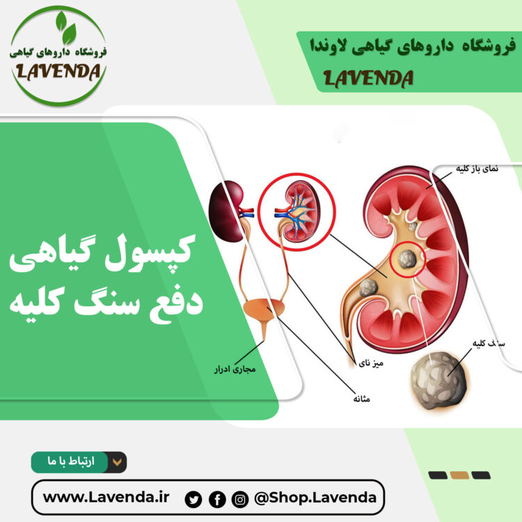کپسول گیاهی دفع سنگ کلیه کاپیسا