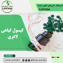 کپسول گیاهی لاغری
