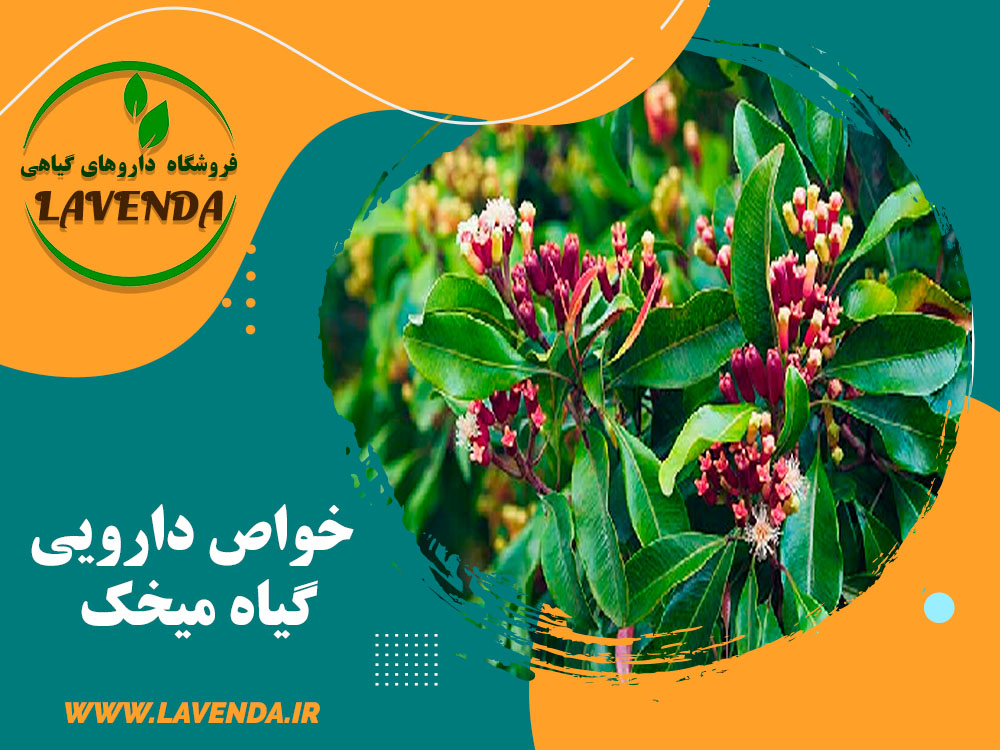 خواص دارویی گیاه میخک | فروشگاه لاوندا
