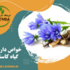 خواص دارویی کاسنی در طب سنتی