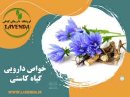 خواص دارویی کاسنی در طب سنتی